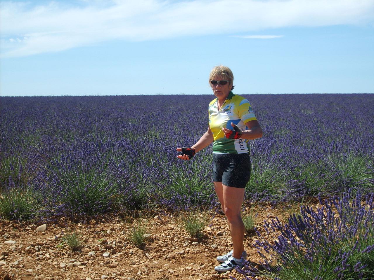 Une fleur parmi les fleurs